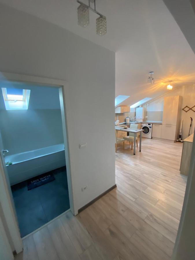 Yann Residence ティミショアラ エクステリア 写真